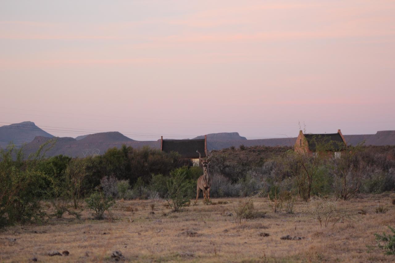 Teri-Lemveli Lodge Beaufort Wes Buitenkant foto